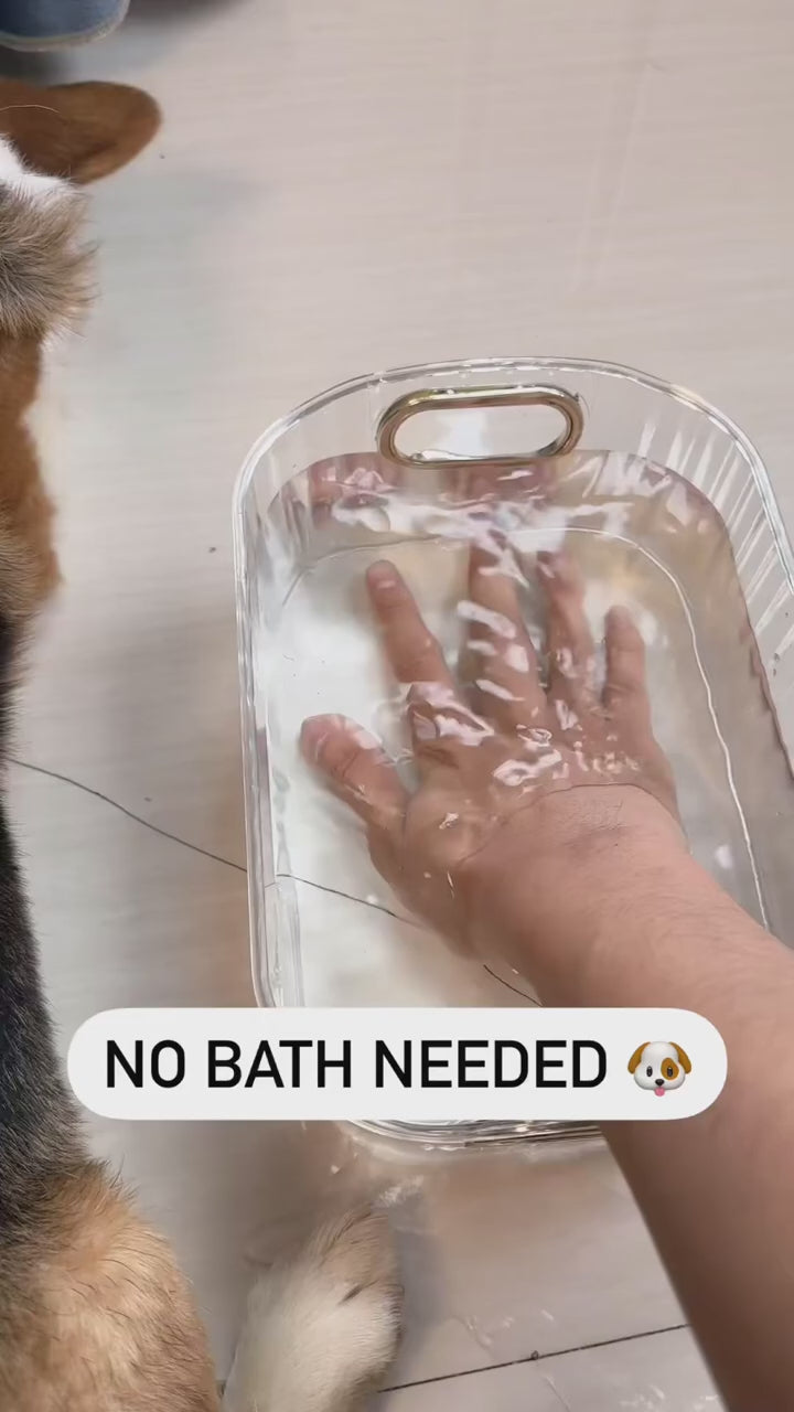 New 3 In 1 Steamy Pet Cat Brush Cleanser Vapor, Steaming Pet Hair Brush